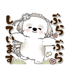 シーズー犬 2025 「約束・待ち合わせ」（個別スタンプ：30）