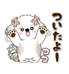 シーズー犬 2025 「約束・待ち合わせ」（個別スタンプ：31）