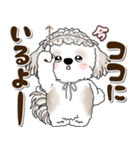 シーズー犬 2025 「約束・待ち合わせ」（個別スタンプ：32）