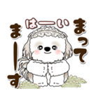 シーズー犬 2025 「約束・待ち合わせ」（個別スタンプ：33）