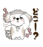 シーズー犬 2025 「約束・待ち合わせ」（個別スタンプ：35）