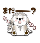 シーズー犬 2025 「約束・待ち合わせ」（個別スタンプ：36）