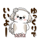 シーズー犬 2025 「約束・待ち合わせ」（個別スタンプ：38）