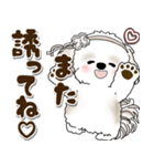 シーズー犬 2025 「約束・待ち合わせ」（個別スタンプ：39）