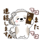 シーズー犬 2025 「約束・待ち合わせ」（個別スタンプ：40）