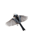 しまえなが J 2（個別スタンプ：1）