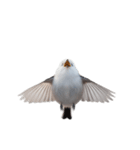 しまえなが J 2（個別スタンプ：2）