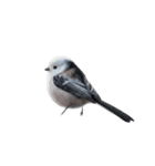 しまえなが J 2（個別スタンプ：4）