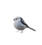 しまえなが J 2（個別スタンプ：5）