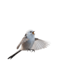 しまえなが J 2（個別スタンプ：9）