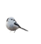 しまえなが J 2（個別スタンプ：10）