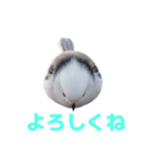 しまえなが J 2（個別スタンプ：12）