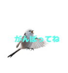 しまえなが J 2（個別スタンプ：15）