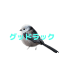 しまえなが J 2（個別スタンプ：19）