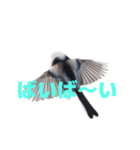 しまえなが J 2（個別スタンプ：20）