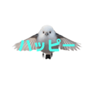 しまえなが J 2（個別スタンプ：22）