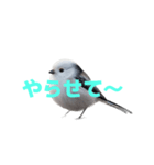 しまえなが J 2（個別スタンプ：29）