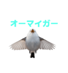 しまえなが J 2（個別スタンプ：32）