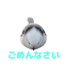 しまえなが J 2（個別スタンプ：33）