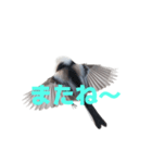 しまえなが J 2（個別スタンプ：34）