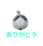 しまえなが J 2（個別スタンプ：35）