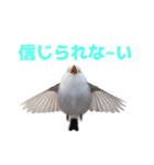 しまえなが J 2（個別スタンプ：37）
