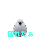 しまえなが J 2（個別スタンプ：38）