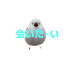 しまえなが J 2（個別スタンプ：40）