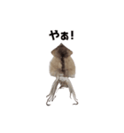 キモ激しく動く！イカ（個別スタンプ：1）