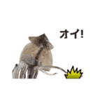キモ激しく動く！イカ（個別スタンプ：3）