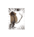 キモ激しく動く！イカ（個別スタンプ：8）