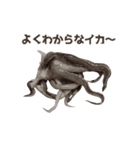 キモ激しく動く！イカ（個別スタンプ：11）