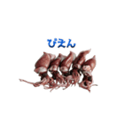 キモ激しく動く！イカ（個別スタンプ：14）