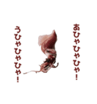 キモ激しく動く！イカ（個別スタンプ：19）