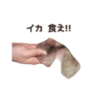 キモ激しく動く！イカ（個別スタンプ：21）