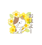 かわいい猫のスタンプです 02（個別スタンプ：1）