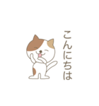 かわいい猫のスタンプです 02（個別スタンプ：2）