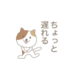 かわいい猫のスタンプです 02（個別スタンプ：7）