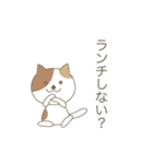 かわいい猫のスタンプです 02（個別スタンプ：10）