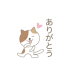 かわいい猫のスタンプです 02（個別スタンプ：14）