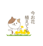 かわいい猫のスタンプです 02（個別スタンプ：23）