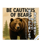 ※【熊出没注意】※（個別スタンプ：4）