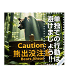※【熊出没注意】※（個別スタンプ：5）
