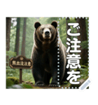 ※【熊出没注意】※（個別スタンプ：10）