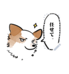 シロは今日も走る（個別スタンプ：2）