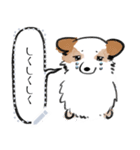 シロは今日も走る（個別スタンプ：3）