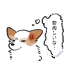 シロは今日も走る（個別スタンプ：4）