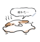 シロは今日も走る（個別スタンプ：5）