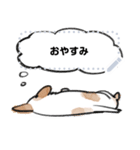 シロは今日も走る（個別スタンプ：6）