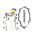 シロは今日も走る（個別スタンプ：7）